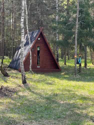 Kargevärava kämping (Kargevarava kamping) in Metsara
