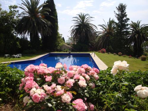 Villa Iolanda-Sive Natura Wine&House