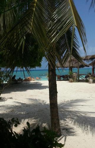 A Hotel Com Ebony Ivory Beach Bungalows Bed And Breakfast Nungwi Tanzania Price Reviews Booking Contact