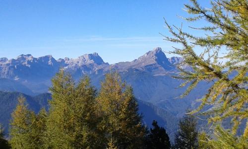 Ferienwohnungen Färberhof Urlaub auf dem Bauernhof - image 6