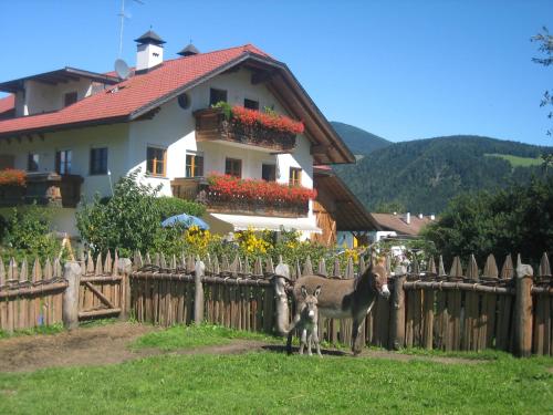 Ferienwohnungen Färberhof Urlaub auf dem Bauernhof - image 11