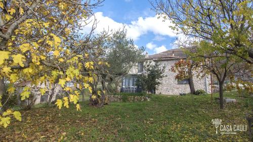 Agriturismo Casa Cauli - image 8