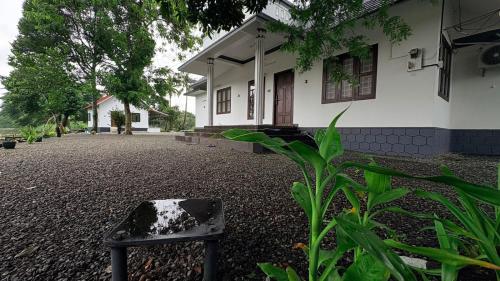 Green Island Casa Homestay - Alappuzha Green Island Casa Homestay - Alappuzha