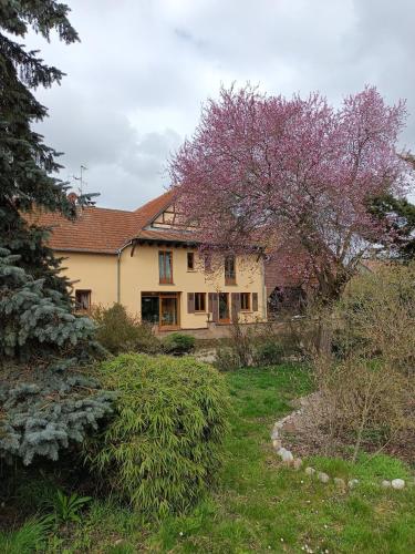 Kert, Chez Pascale & Pierre in Sermersheim
