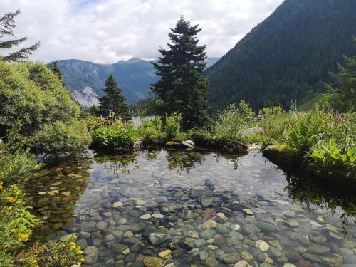 Nearby attraction, Chalet Rustifol in Champex