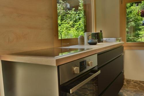 Kitchen, Chalet Rustifol in Champex