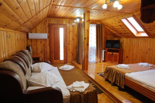Cabana Sargetia in Batiz