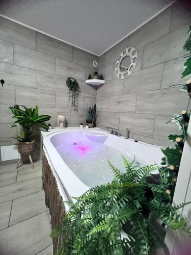 Sensual Accommodation with Jaccuzi & subdued atmosphere in Dizy