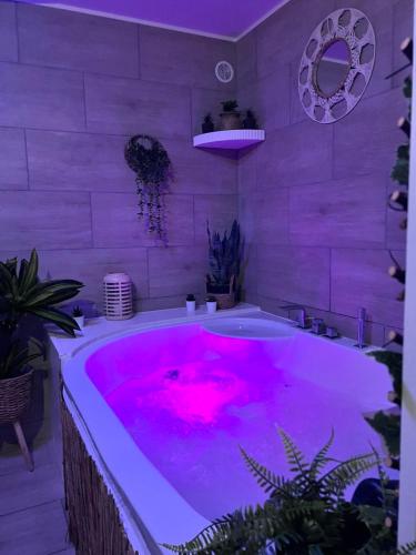 Pezsgőfürdő, Sensual Accommodation with Jaccuzi & subdued atmosphere in Dizy