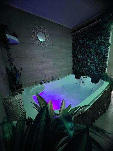 Pezsgőfürdő, Sensual Accommodation with Jaccuzi & subdued atmosphere in Dizy