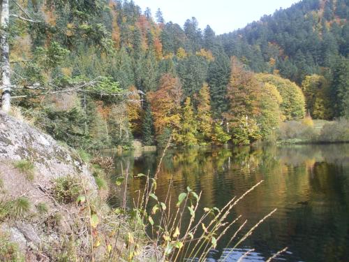Chalet Retournemer - image 12