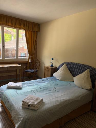 Seehotel Bären Room Type - Double Room with Shared Bathroom and Mountain View