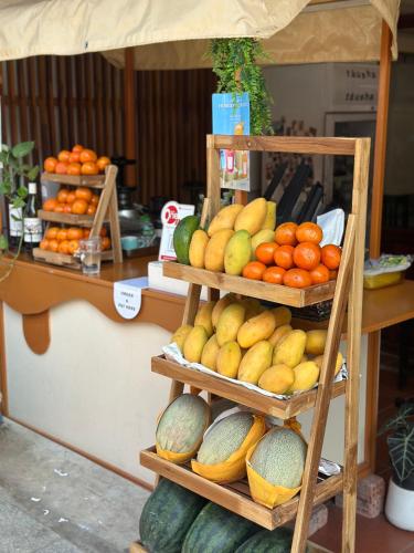 Homer House Hostel & Café - image 5