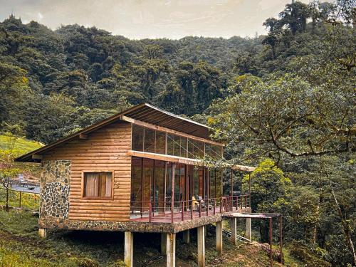 Cloud Forest Cabin in Altos del María (Cloud Forest Cabin in Altos del Maria) in La Laguna