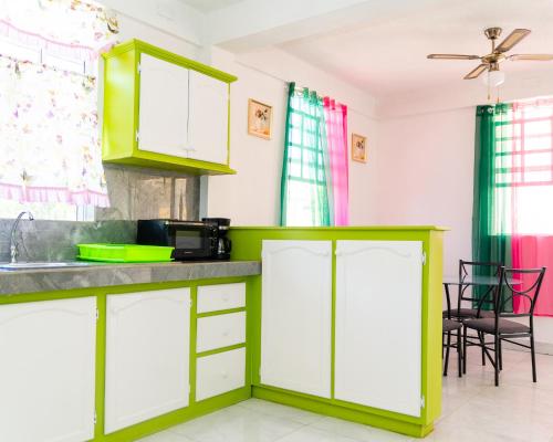 Elegant 3BedRoom Luxury Apartment & Car Rentals in Canefield