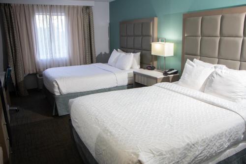 2 queen beds