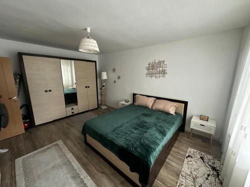 Dragasani Cozy Apartament