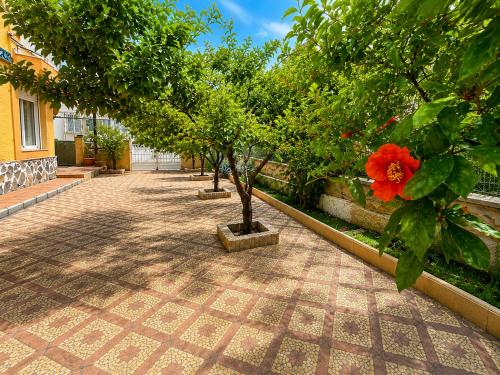 Dārzs, Villa Sea Garden Mar Menor in Los Urrutias