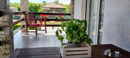 La casa di Gergy in Borgomanero