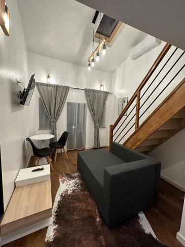 Cismigiu Park Studio - image 12