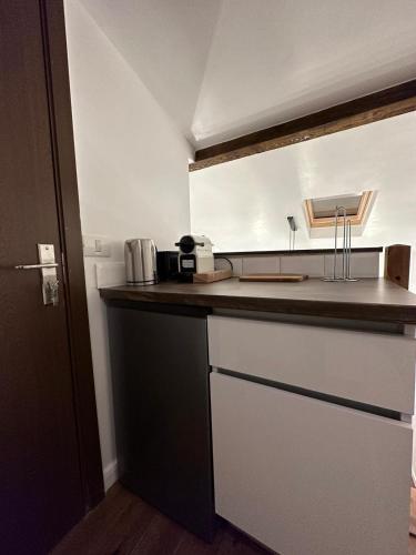 Cismigiu Park Studio - image 6
