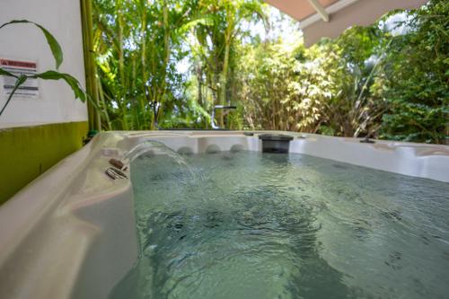 Majesty Palm Room Type - Suite with Hot Tub