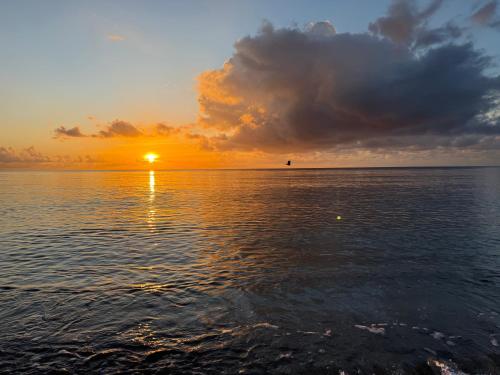 Sandbar in North Miami Beach