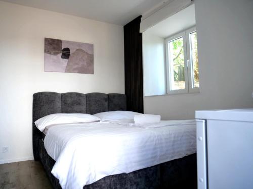 Guesthouse Slavia - apartmany s vinnym sklipkem in Mikulov