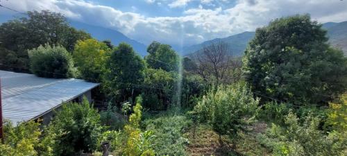 Comfort Hills in Lahich