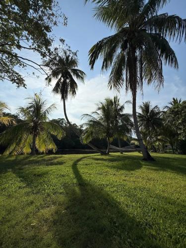Paradise in North Miami Beach