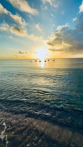 Paradise in North Miami Beach
