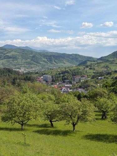 Dārzs, La Paramon ! in Sangeorz-Bai