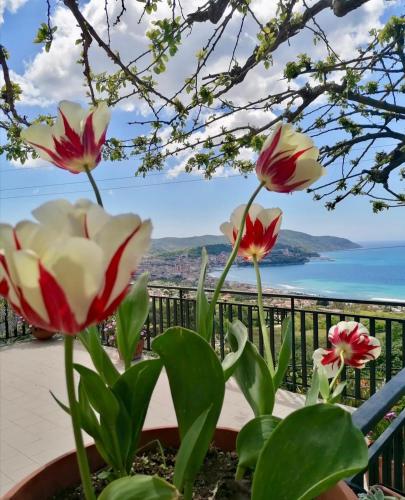 La Roccia – Agropoli, UT