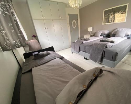 Sudavik guesthouse in Berufjardarvatn