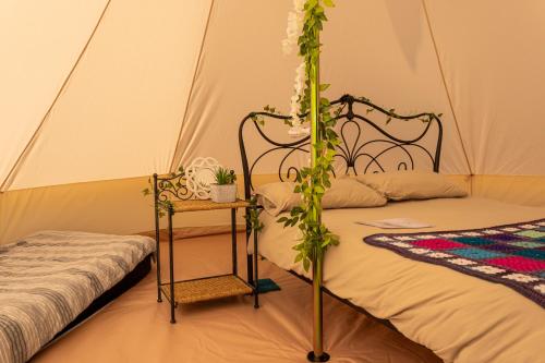 Battle Pods and Bells Glamping in Battle