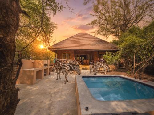 Dumela Afrika – khách sạn tại Công viên Marloth