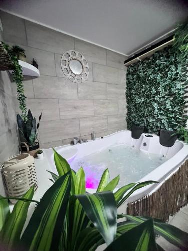 Seadmed, Logement Sensuelle avec Balnéo & Ambiance Tamisée (Logement Sensuelle avec Balneo & Ambiance Tamisee) in Dizy