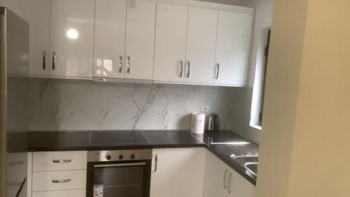 Apartment City Center 2 Fier in 非夏爾