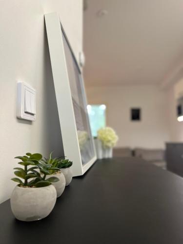 Modern Studio with Private Yard & Terrace in Rajakylä