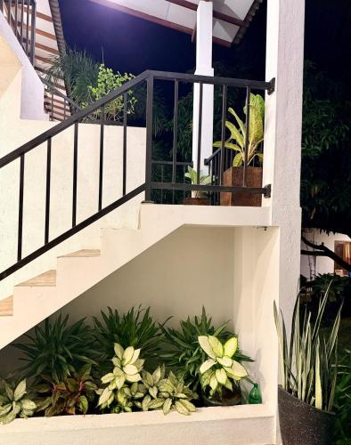Sunrise Villa - image 4