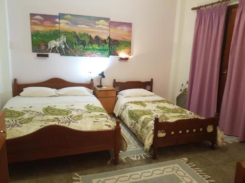 Sofia Rooms, Kalambaka (foto 4)