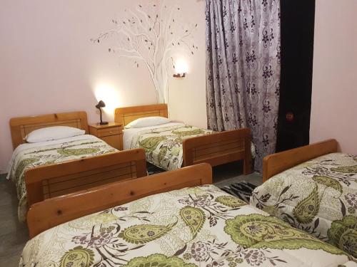 Sofia Rooms, Kalambaka (foto 9)