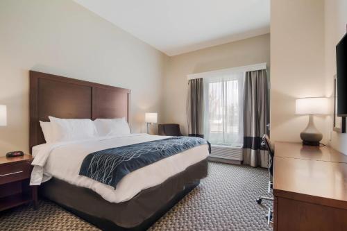 Comfort Inn & Suites Rock Hill Northeast – khách sạn tại Pecan Grove