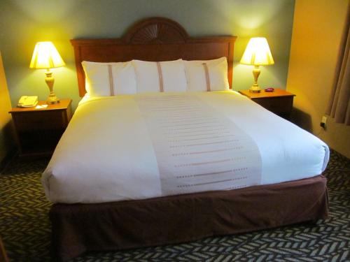 Fireside Inn and Suites - image 44