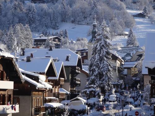 Le Chalet Blanc - image 3