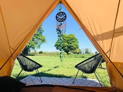 Maesbury Meadows in Ashwick