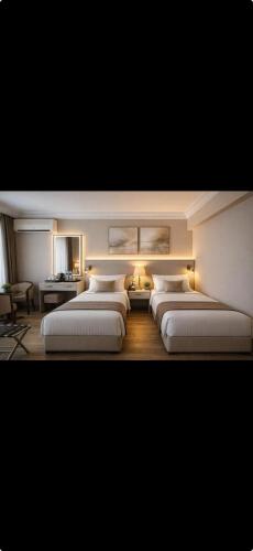 Hotel Buyuk Sahinler, Istanbul