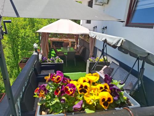 Guesthouse Jelena - Višegrad