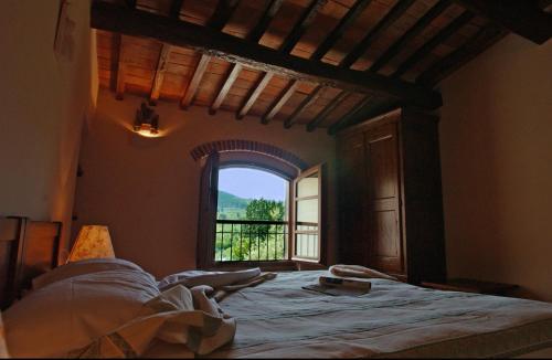 Agriturismo Poggio Arioso - Signa
