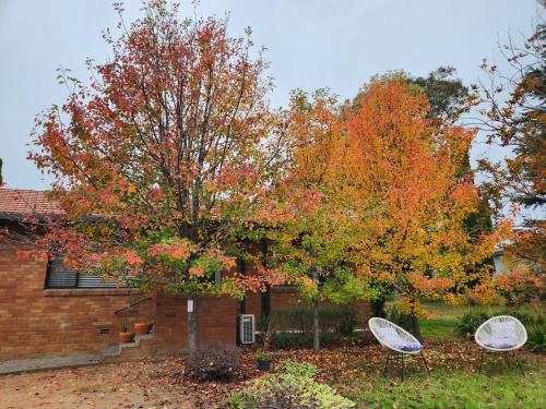 Bowral Central Garden Apartment in Bowral